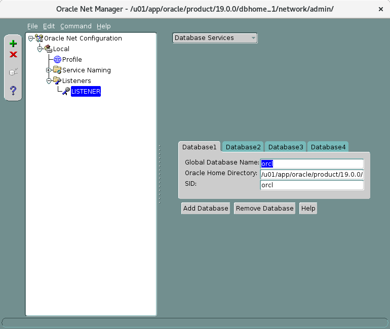 Window of Net Manager tool of Oracle database showing how to set a Database Service.